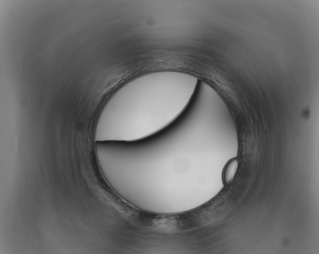 X0000090920362200707301059