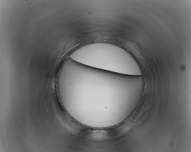 X0000090920363200707301059