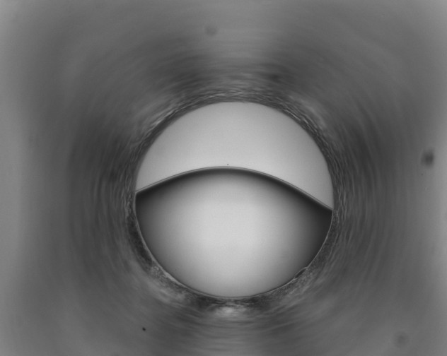 X0000090920364200707301059