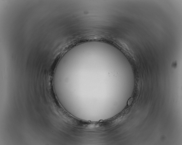 X0000090920366200707301059