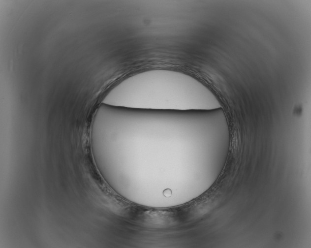 X0000090920367200707301059