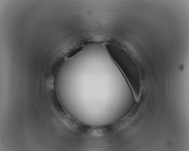 X0000090920368200707301059
