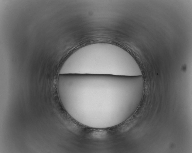 X0000090920369200707301059