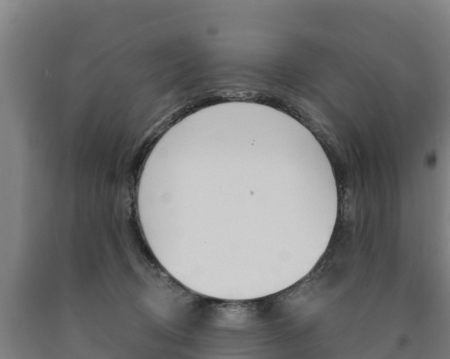 X0000090920370200707301059