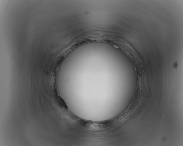 X0000090920372200707301059