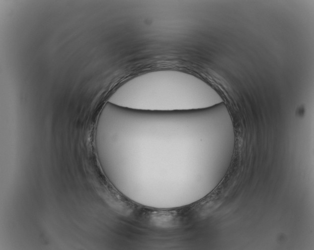X0000090920373200707301059