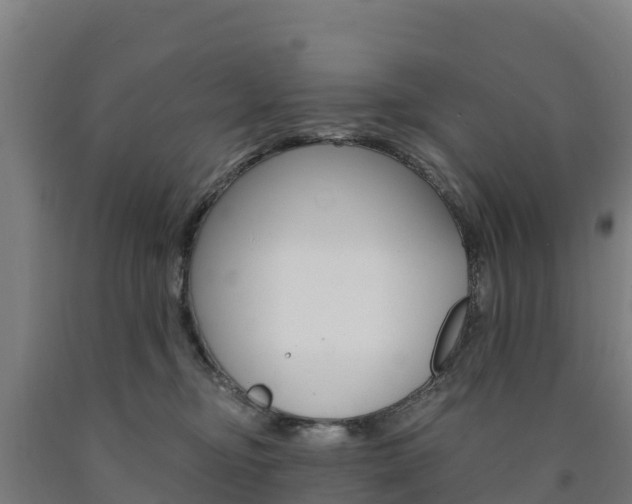 X0000090920374200707301059
