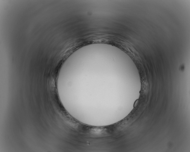 X0000090920375200707301059
