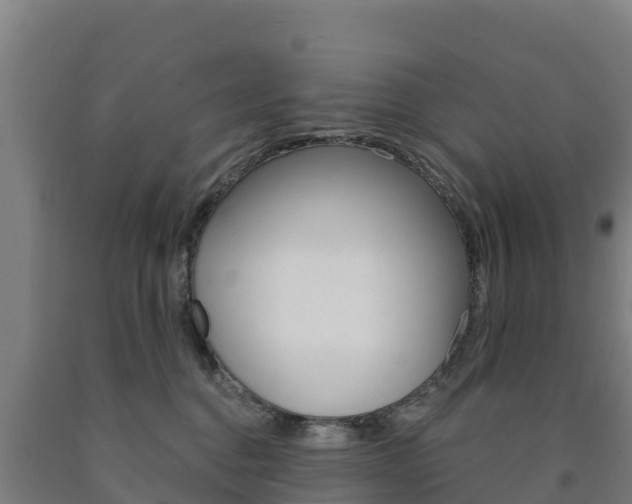 X0000090920376200707301059