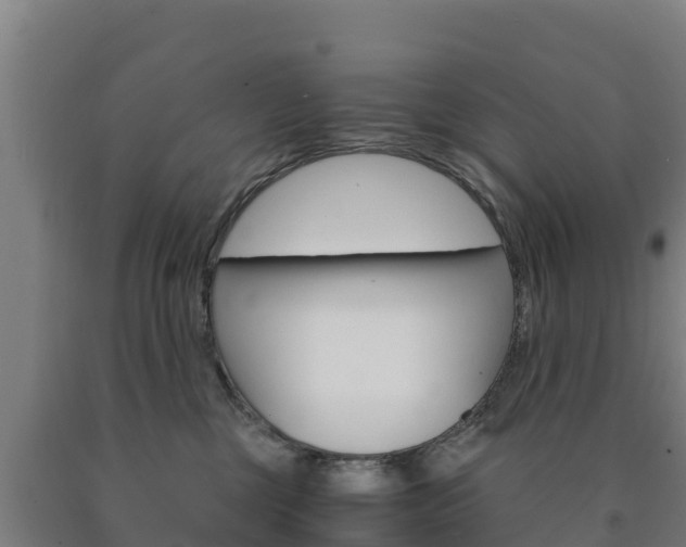 X0000090920377200707301059