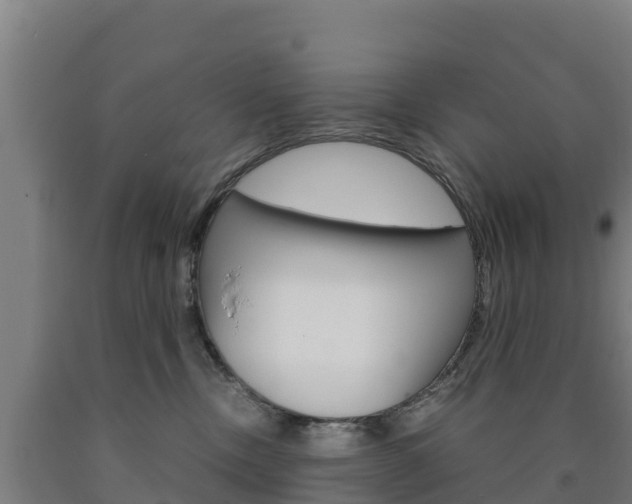 X0000090920378200707301059