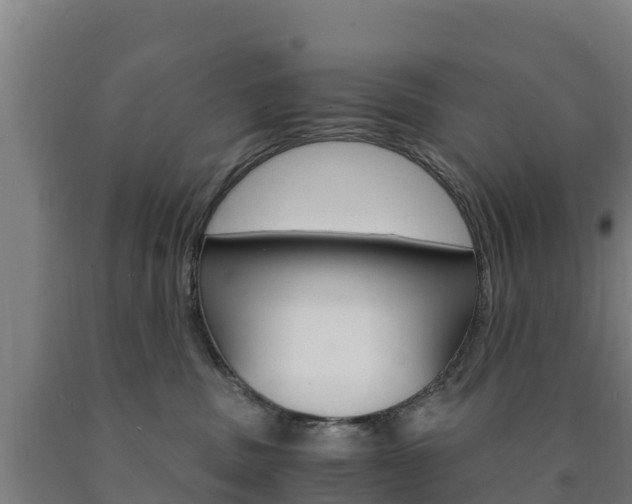 X0000090920379200707301059