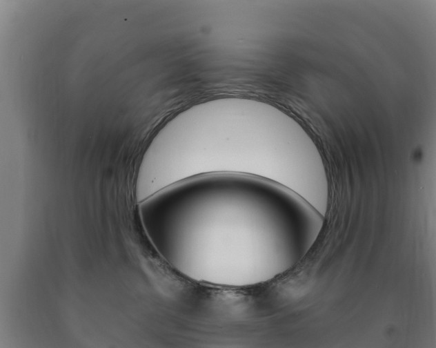 X0000090920380200707301059