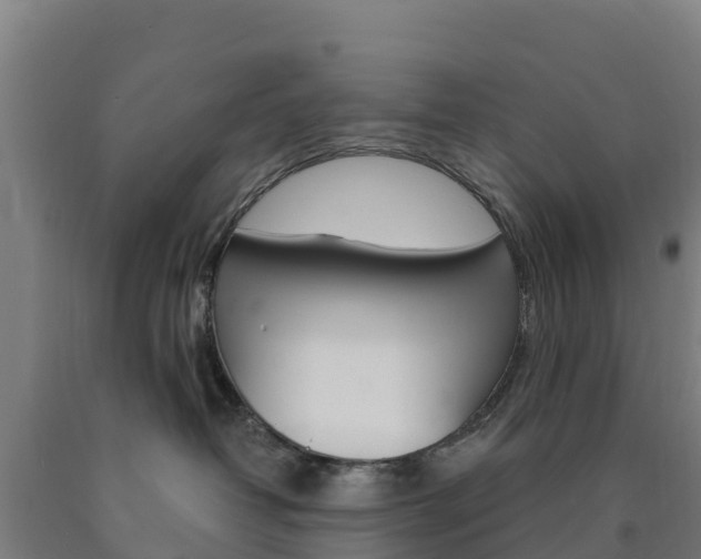 X0000090920382200707301059
