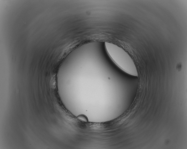 X0000090920383200707301059