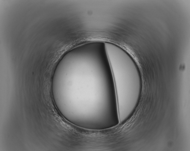 X0000090920385200707301058