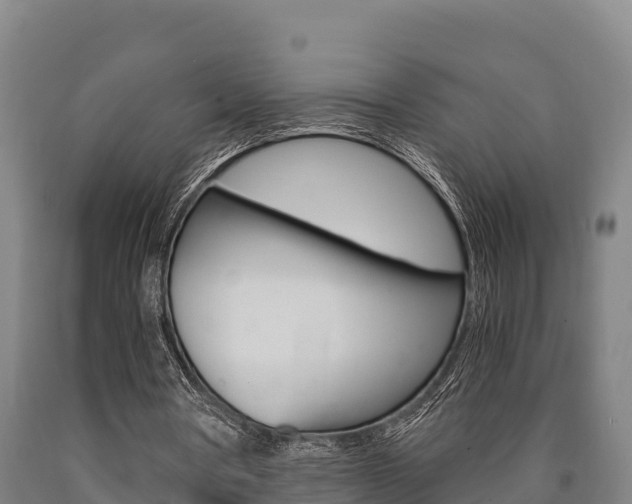 X0000090920386200707301058