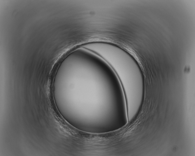 X0000090920387200707301058
