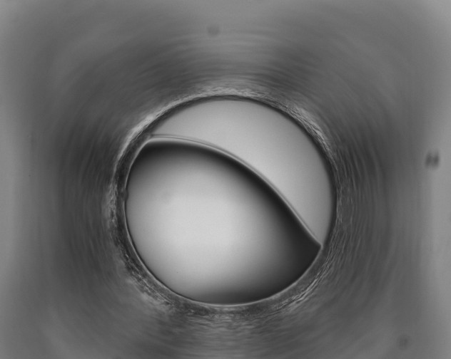 X0000090920388200707301058