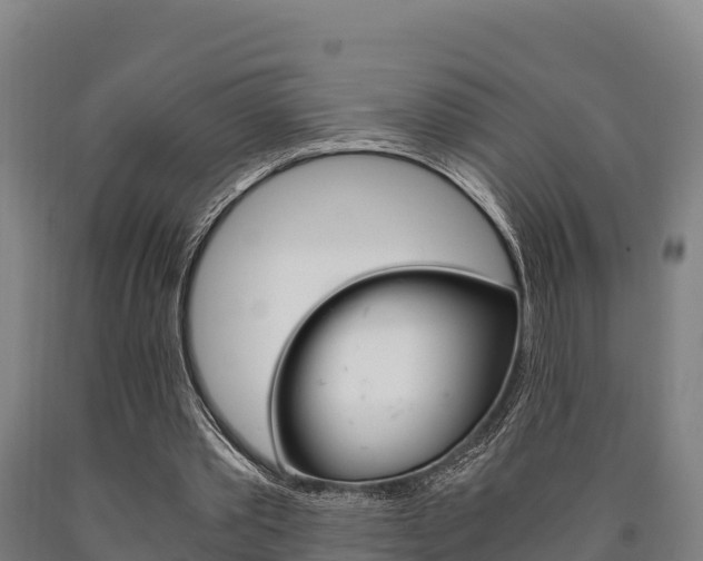 X0000090920389200707301058