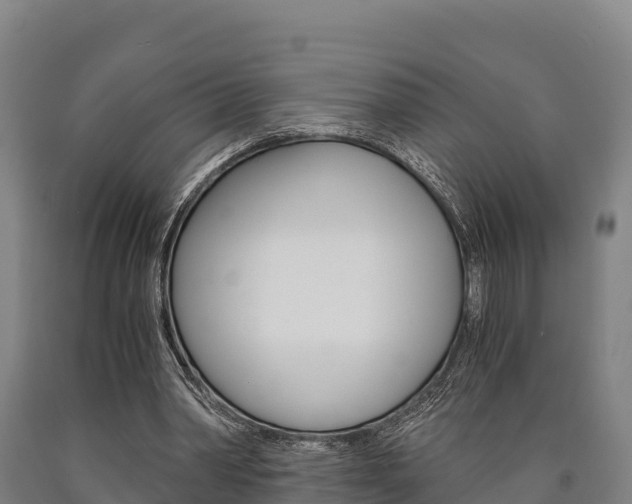 X0000090920390200707301058