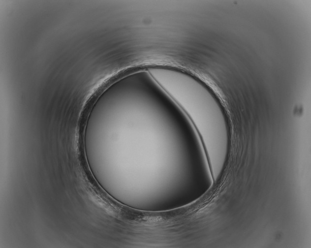 X0000090920391200707301058