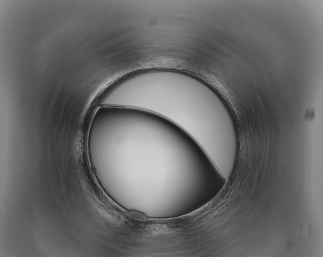X0000090920392200707301058