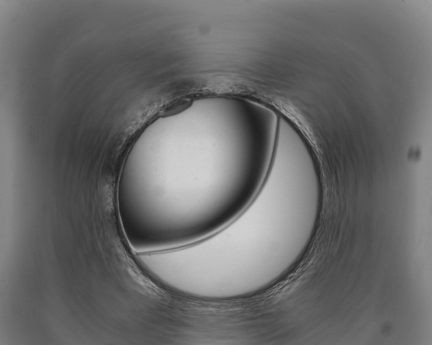 X0000090920393200707301058