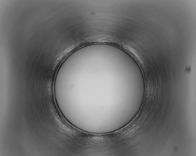 X0000090920394200707301058