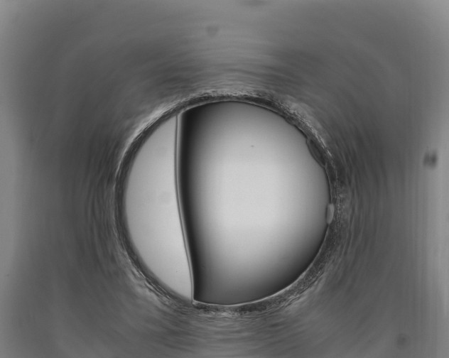 X0000090920395200707301058
