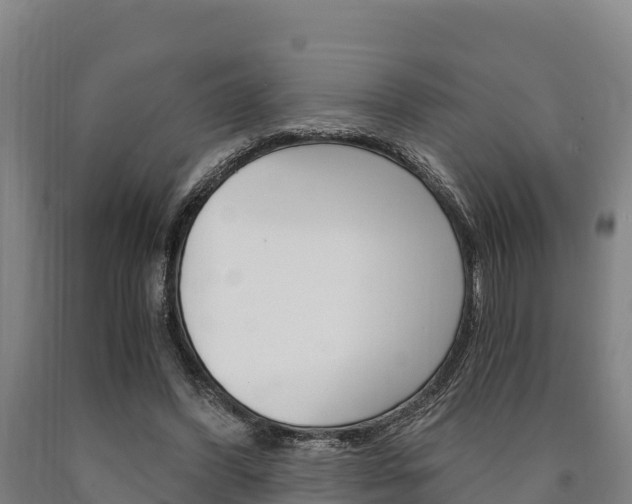 X0000090920396200707301058