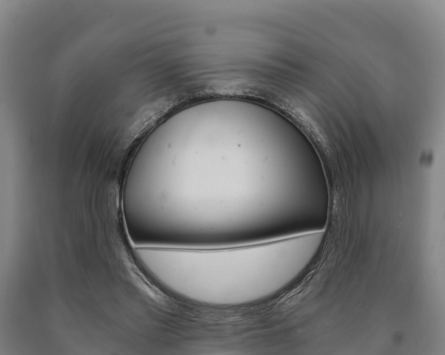 X0000090920397200707301058