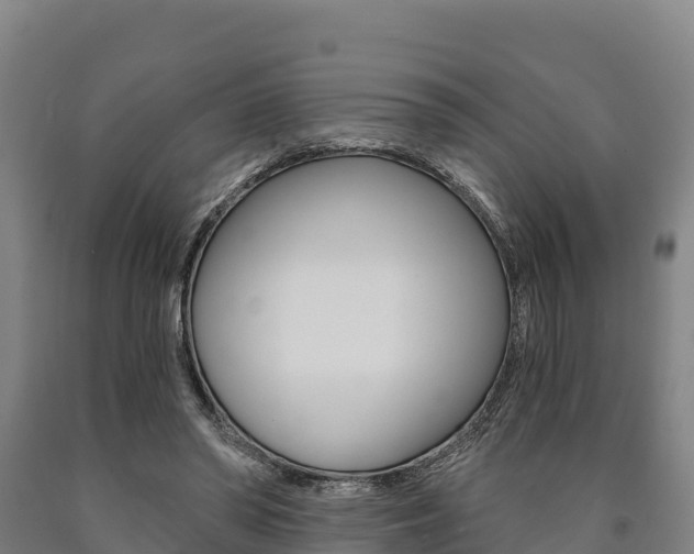 X0000090920398200707301058