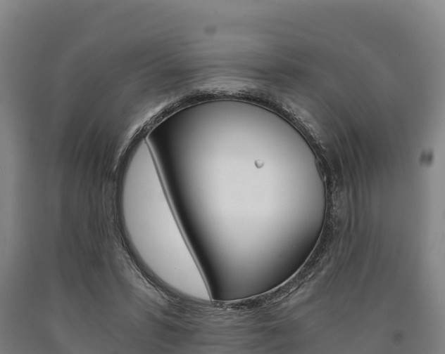 X0000090920399200707301058