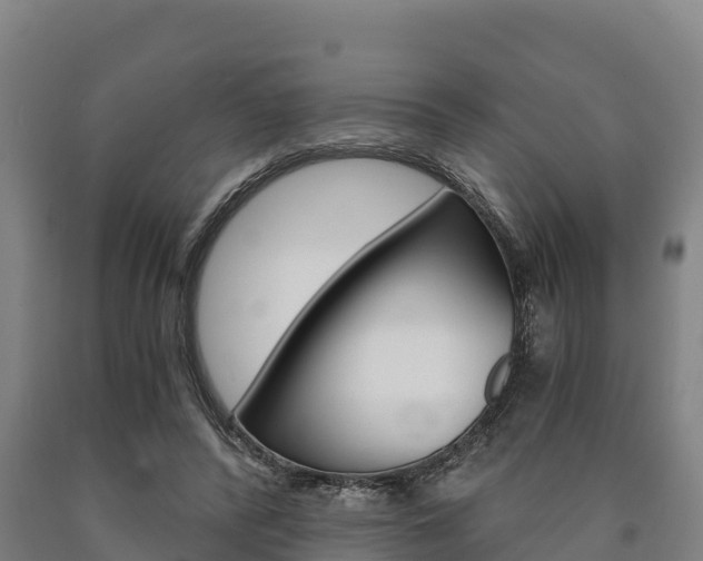 X0000090920400200707301058