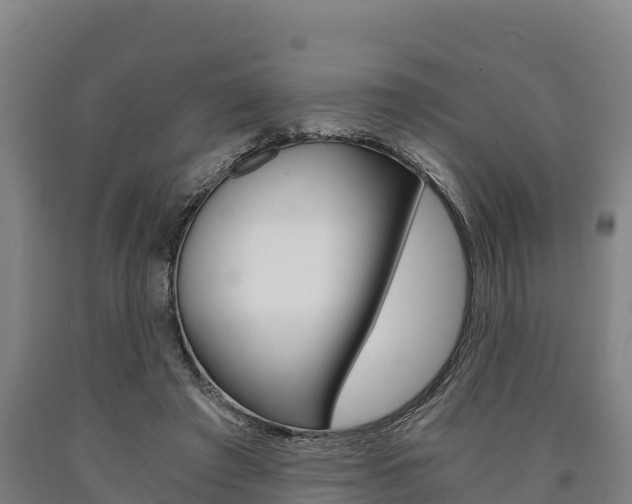 X0000090920401200707301058