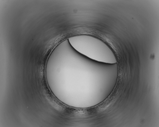 X0000090920402200707301058