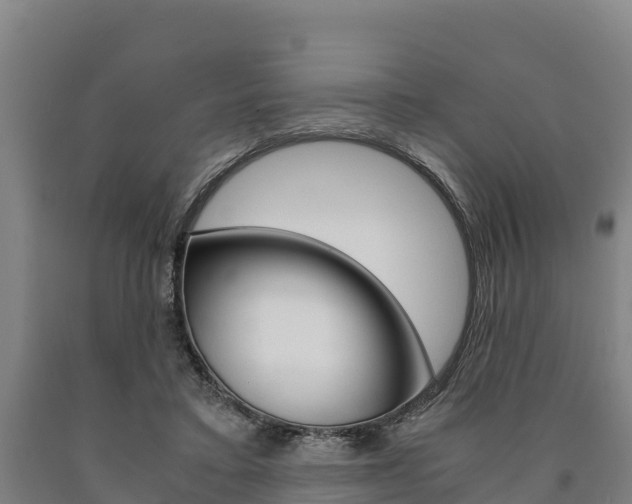 X0000090920403200707301058