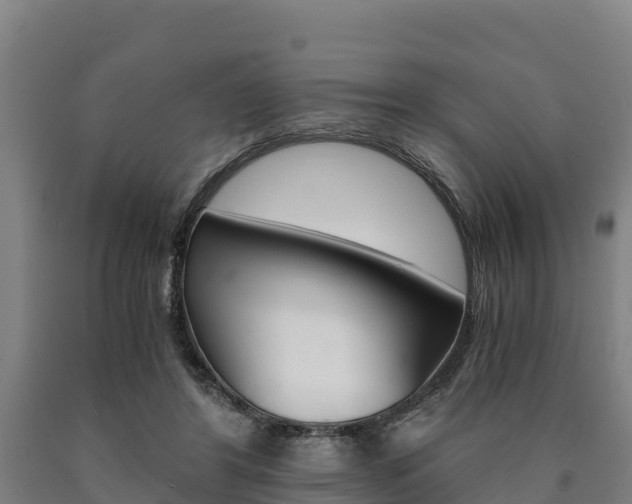 X0000090920404200707301058