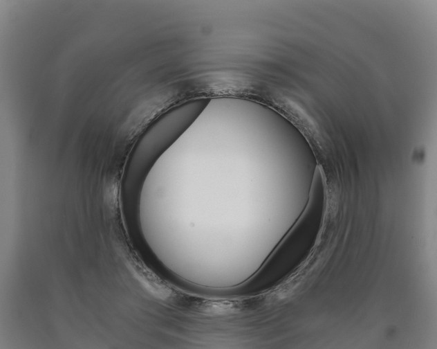 X0000090920405200707301058