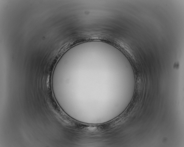 X0000090920406200707301058