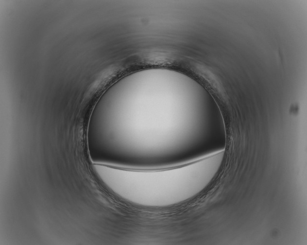 X0000090920407200707301058