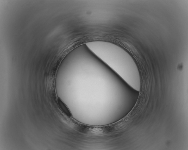 X0000090920409200707301058