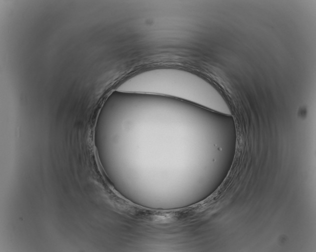 X0000090920411200707301058