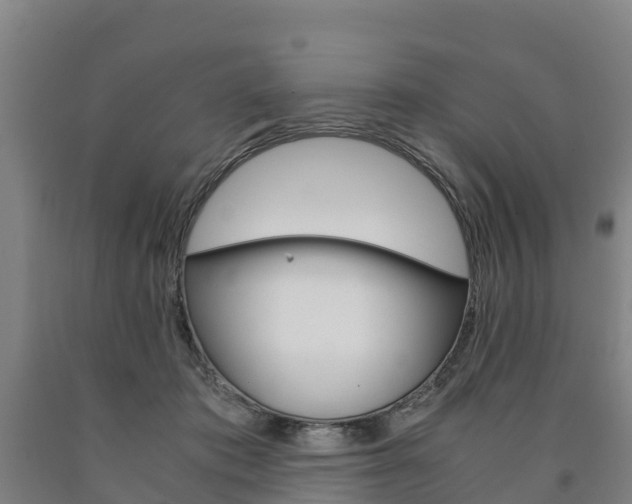 X0000090920413200707301058