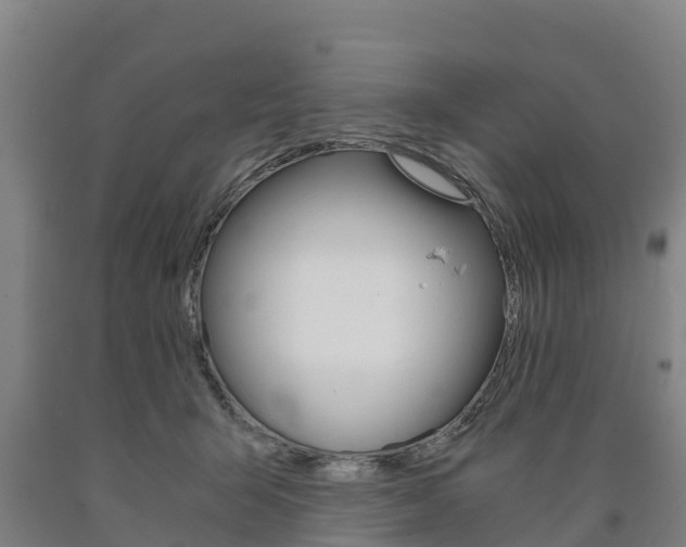 X0000090920415200707301058