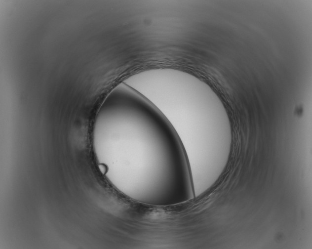 X0000090920416200707301058