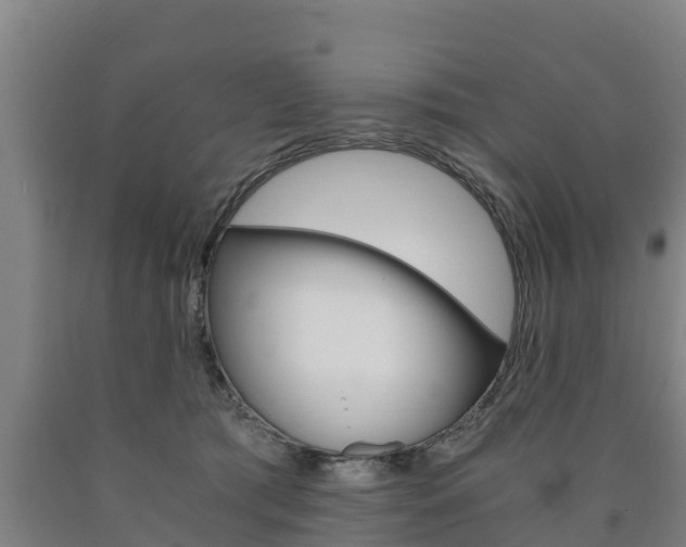 X0000090920417200707301058