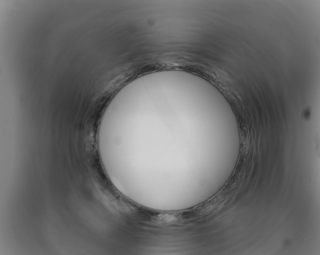 X0000090920418200707301058