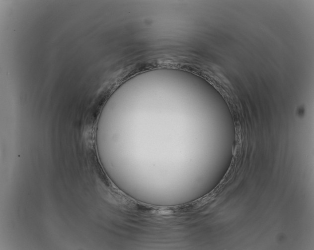 X0000090920419200707301058